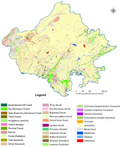 Vegetation of Rajasthan 